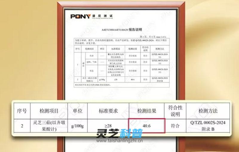 一味成方灵芝孢子油灵芝三萜含量28%，实测40.6，七大升级！
